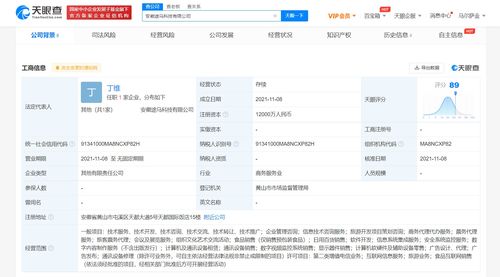 螞蟻集團(tuán)攜手黃山旅游成立合資公司，1.2億資本共繪智慧旅游新藍(lán)圖